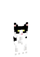 кот абормот