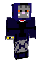 кот воин2