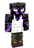 Nister1.2