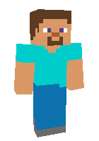 2.0 Bedrock Edition Steve