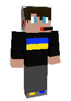 skin.minacraft