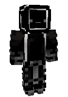 reversSkin