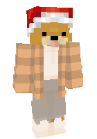 DOG_pro_zima