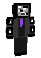 Big Tv man