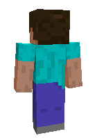 CRcompanyStevecontrary