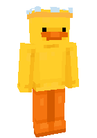 Duck(byWhite_point)
