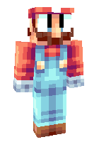The Super Mario Brother(s)