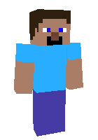Multi Steve 2