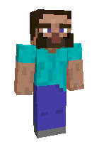Real steve 2