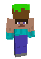 Steve steal block