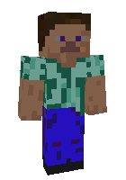 Old steve